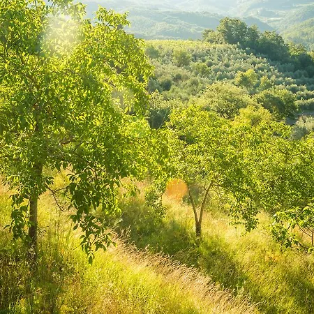 Podere Poggio Mendico Alojamento de Turismo Rural
