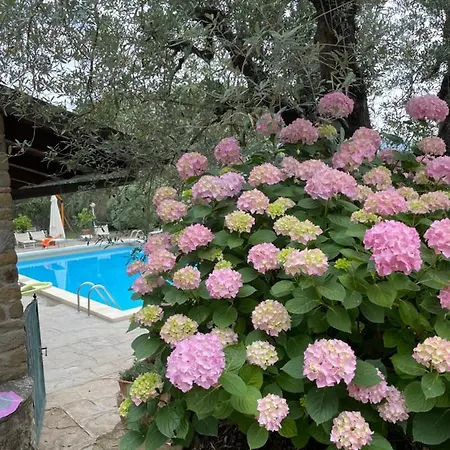 Podere Poggio Mendico *