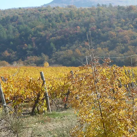 Podere Poggio Mendico Arezzo